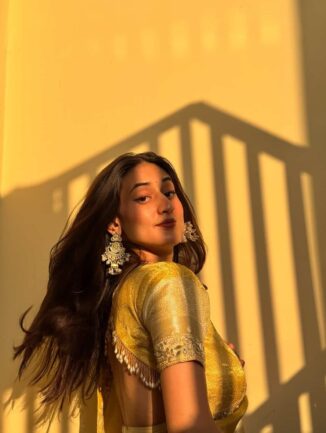 Banarasi Tissue Silk Saree